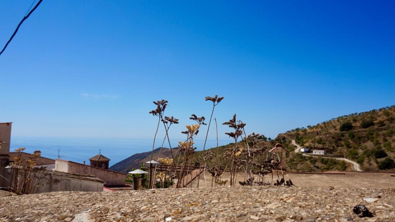 Casa Amigos Sorvilan - La Almendra 外观 照片