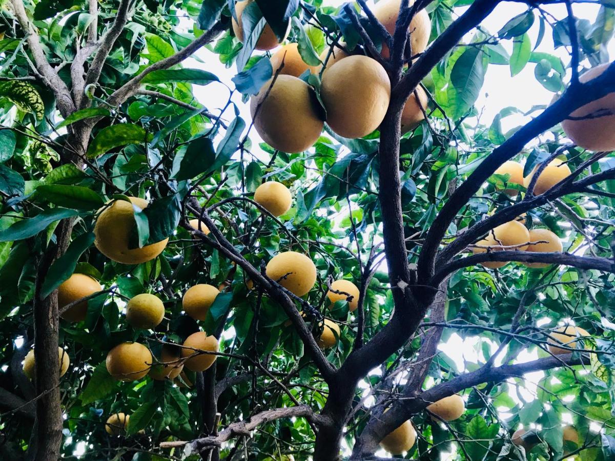 Casa Amigos Sorvilan - La Almendra 外观 照片