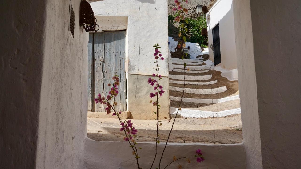 Casa Amigos Sorvilan - La Almendra 外观 照片