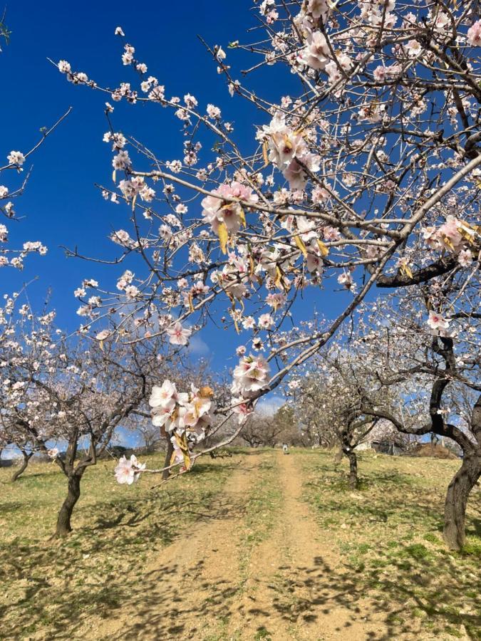 Casa Amigos Sorvilan - La Almendra 外观 照片