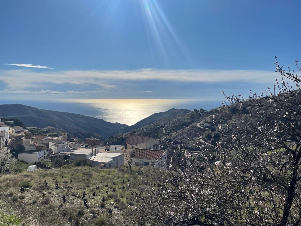 Casa Amigos Sorvilan - La Almendra 外观 照片